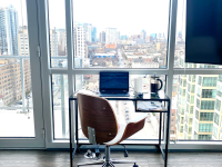 view