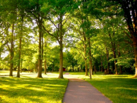 Troy Community
