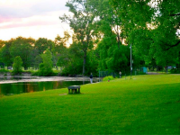 Troy Community