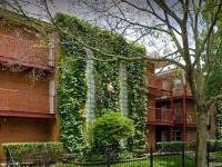 Ravenswood Gardens