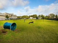 Dog Park Agility Equipment | Parkside at the Beach