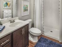 Modern Bathroom | Apartments in Midlothian, VA | Colony at Centerpointe
