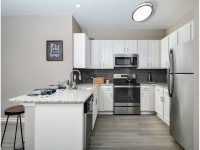 Plymouth Pointe Apartments - Norristown, PA - Kitchen 1