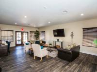 clubhouse lounge area with couches and arm chairs and tv at the cove apartments