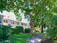 Ample Green Spaces