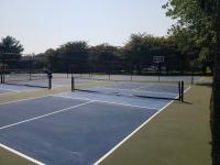 Pickleball Anyone?