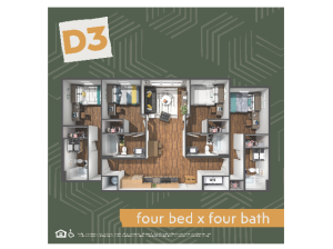 D3