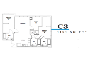 c3