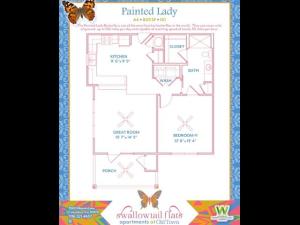 Painted Lady