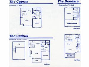 Cedar Streams