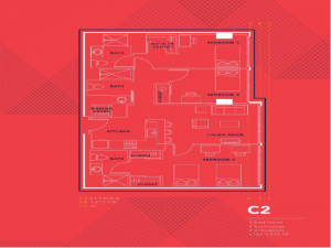 c2