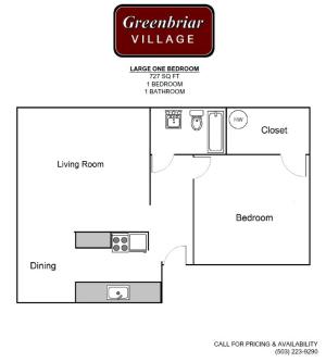 Large One Bed Floorplan