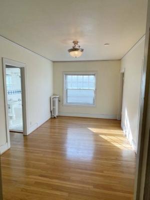 Apt 203 Living Room