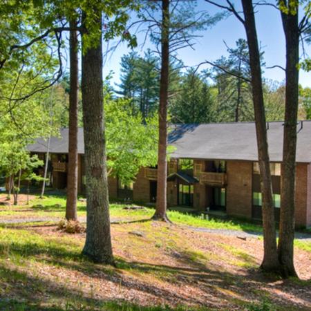 Wooded View | 3 Bedroom Apartments Nashua, NH | Hilltop by Princeton Apartments