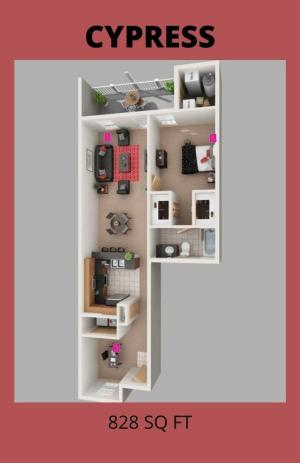 1BR, 1BA, New