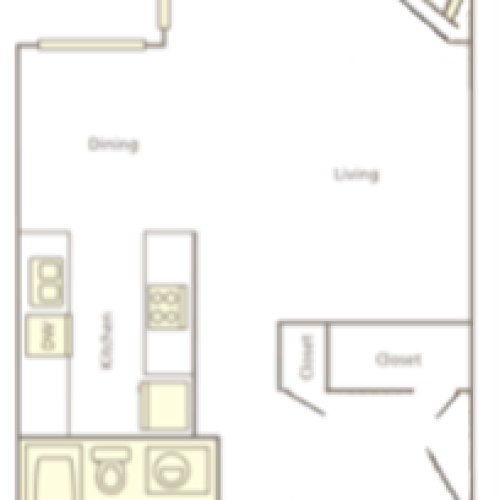 1 Bed/1 Bath