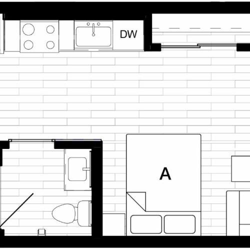 Studio D