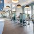Fitness room with various cardio machines and weights.