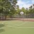 Half basketball court with tennis court and trees in background.