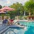 Sparkling pool with residents sunbathing, pond with fountain in the background.