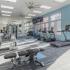 Community gym with weights, mirrors, wall mount televisions, treadmills, ellipticals, bench press and other equipment.