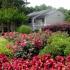 Grey Exterior Apartments, surrounded by colorful landscaping.