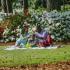 Club Hill Apartments Exterior: 2 people sharing a drink on a blanket on the green lawn, surrounded by beautiful flowers and trees.