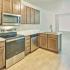 Dogwood - Open 1 Bedroom