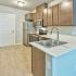 Dogwood - Open 1 Bedroom