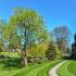 Brookstone Apts; Exterior, manicured grassy area, walking bridge with brook, 3 story apt buildings, walking path, trees, shrubs