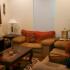 A colorful living room. | Pet-friendly rental houses, Schriever SFB, Colorado Springs CO
