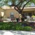 Tree in front of home | Lanscaping
