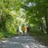 2 Adults and 1 Child walking with dog on hiking trail
