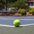 Tennis Court with close-up of green tennis ball  at Pheasant Run Apartments | Nashua NH Apartments