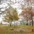 Dog Park In Traverse City | Ridge45 Apartments