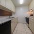 Sunset Palms | Kitchen