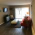 Luxurious Living Area | Apartments in Mount Prospect Illinois | The Element