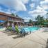 Sparkling Pool | Apartments for rent in Lexington, KY | Pinebrook Apartments