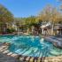 Resort Style Pool | Apartments in Houston, TX | Driscoll Place