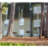 Outdoor BBQ & Picnic Area | Peachtree Place Apartments For Rent in Columbia SC