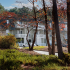 Landscaping  | Peachtree Place Apartments For Rent in Columbia SC