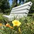 Park bench with yellow flowers