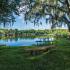 The Lodge at Woodlake apartments, exterior, benches, picnic table by the water, grassy, large trees and shade