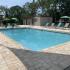 Sparkling Swimming Pool with Chaise Lounges