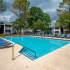 Sparkling Swimming Pool