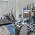 Tread Mills & Cycling Machine in Fitness Center | The Mansions At Mercer Crossing | Apartments in Farmers Branch TX