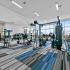 Fully-Equipped Fitness Center | The Luxe of McKinney | Brand New Apartments McKinney, TX