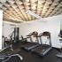 Interior fitness center with two treadmills, bike machine, weight bench, and cable machine
