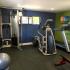 Gym photo includes a treadmill, elliptical and weight machine.