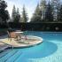 The Meadows Pool #1